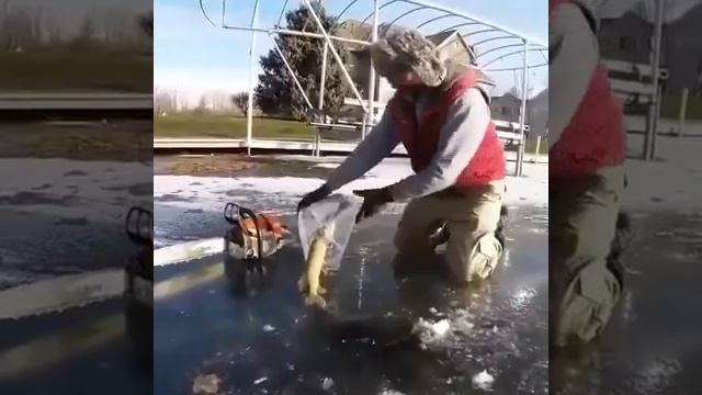Видео от За Трофеем: Охота и Рыбалка
