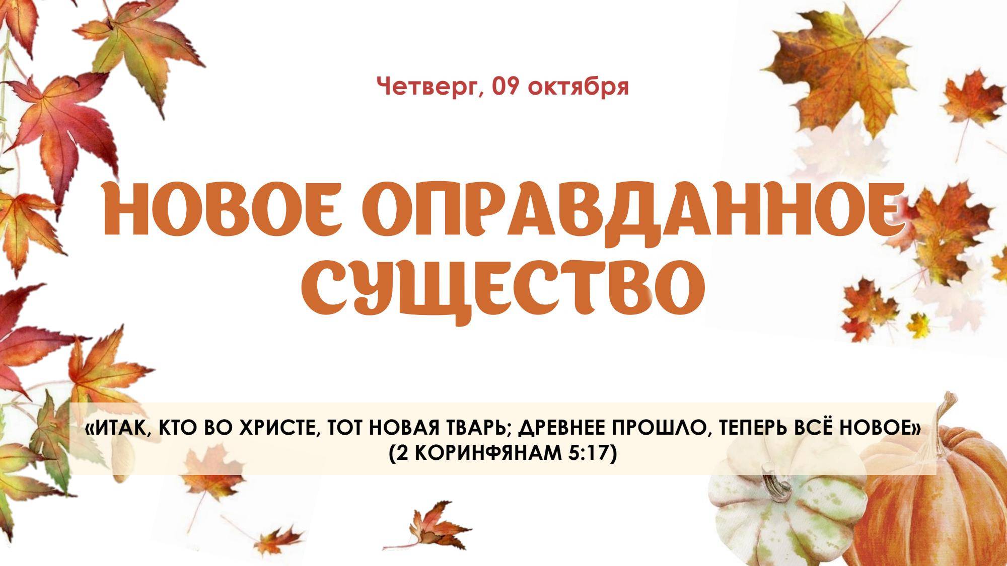 Новое оправданное существо