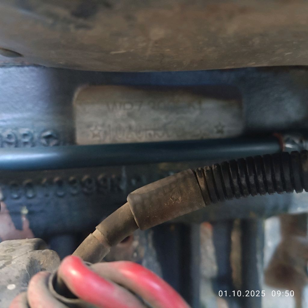 Подольское мыши