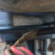 Подольское мыши