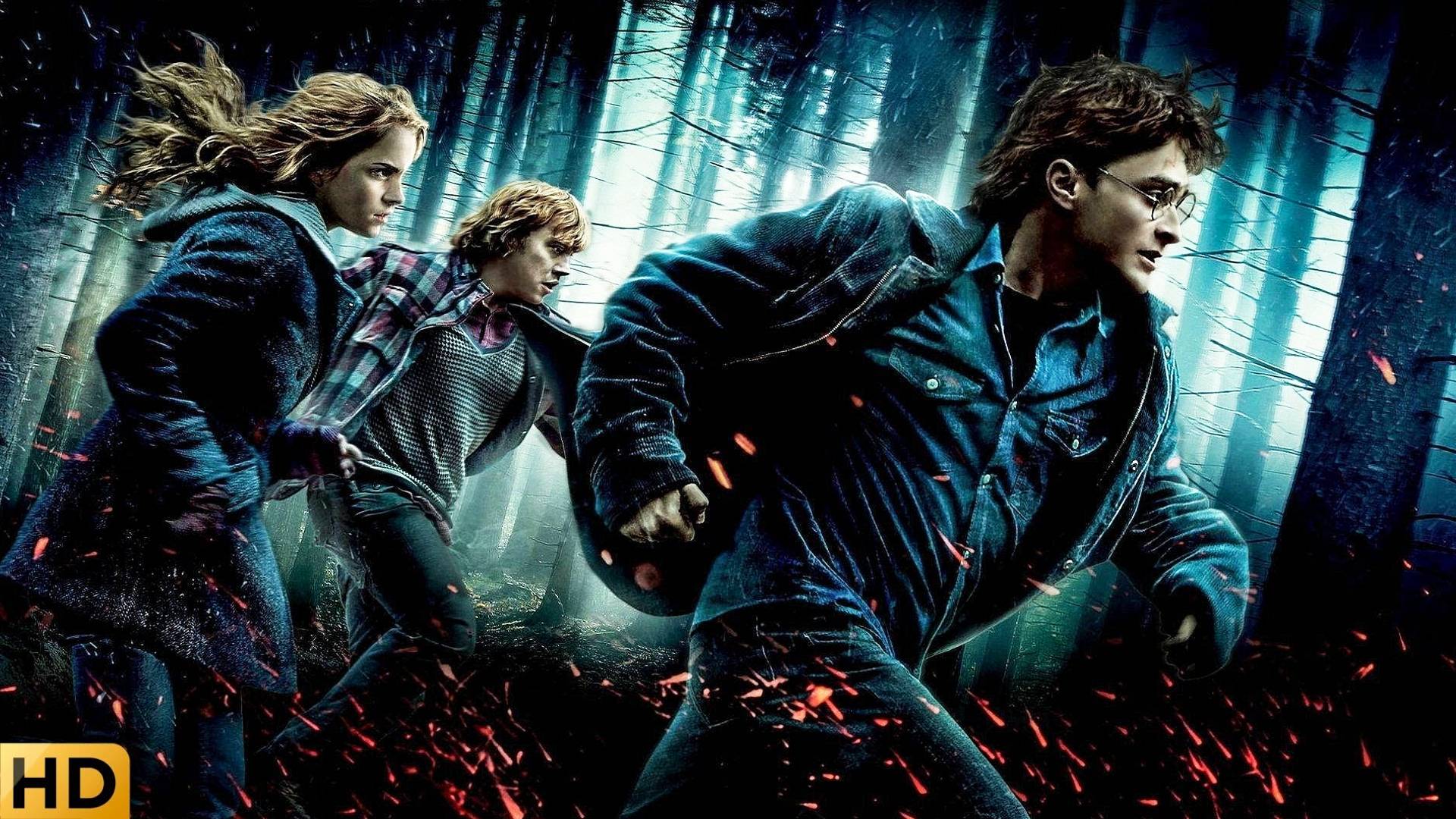 ГАРРИ ПОТТЕР И ДАРЫ СМЕРТИ: ЧАСТЬ 1 2010