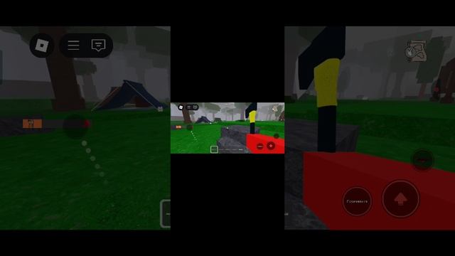 Играю в роблокс