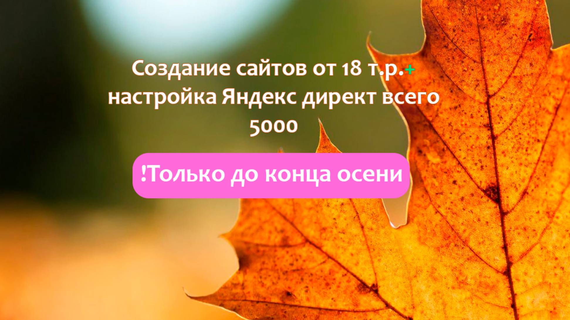 Создание и продвижение сайтов. Акция до конца осени! Сайт от 18000, настройка рекламы - 5000 руб.