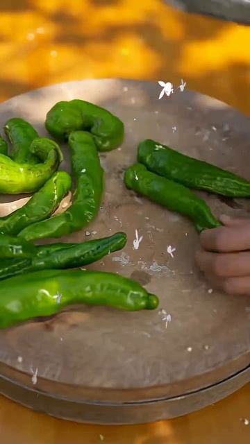 Свежий урожай на стол – приготовление блюд из овощей из огород
