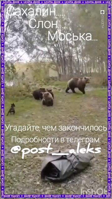 😏 Сахалин... он такой:
https://t.me/post_aleks/85