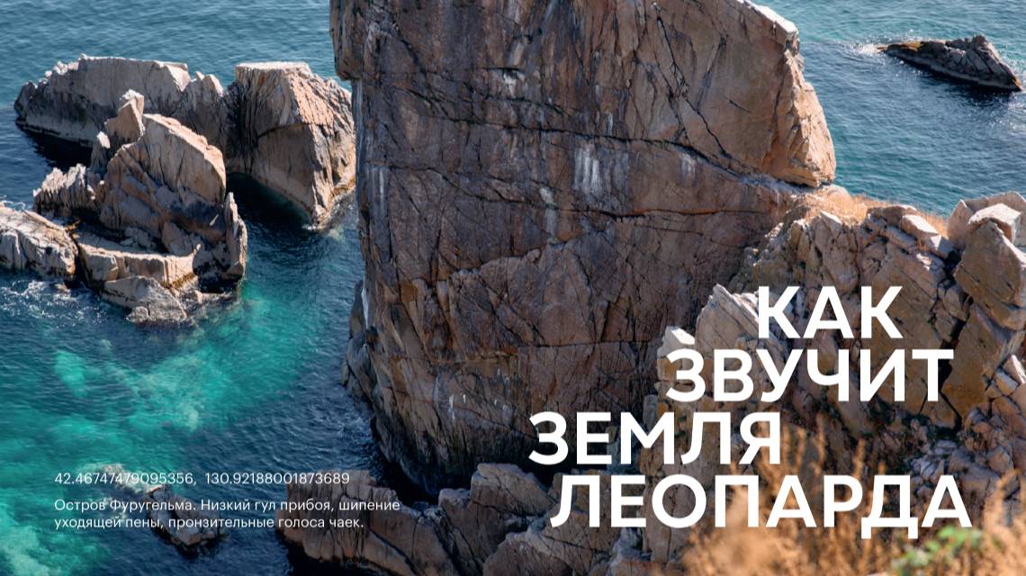 КАК ЗВУЧИТ ЗЕМЛЯ ЛЕОПАРДА. ГЛАВА ПЯТАЯ ОСТРОВ ФУРУГЕЛЬМА