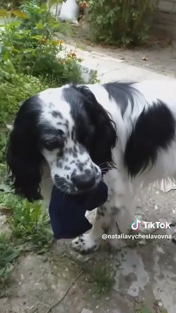 Засекли...)))