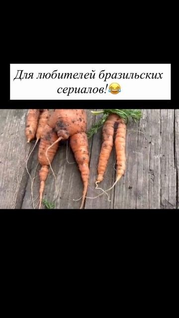 Сериал...урожайны год...Хулио зарешал 