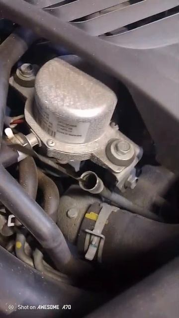 5499.mp4