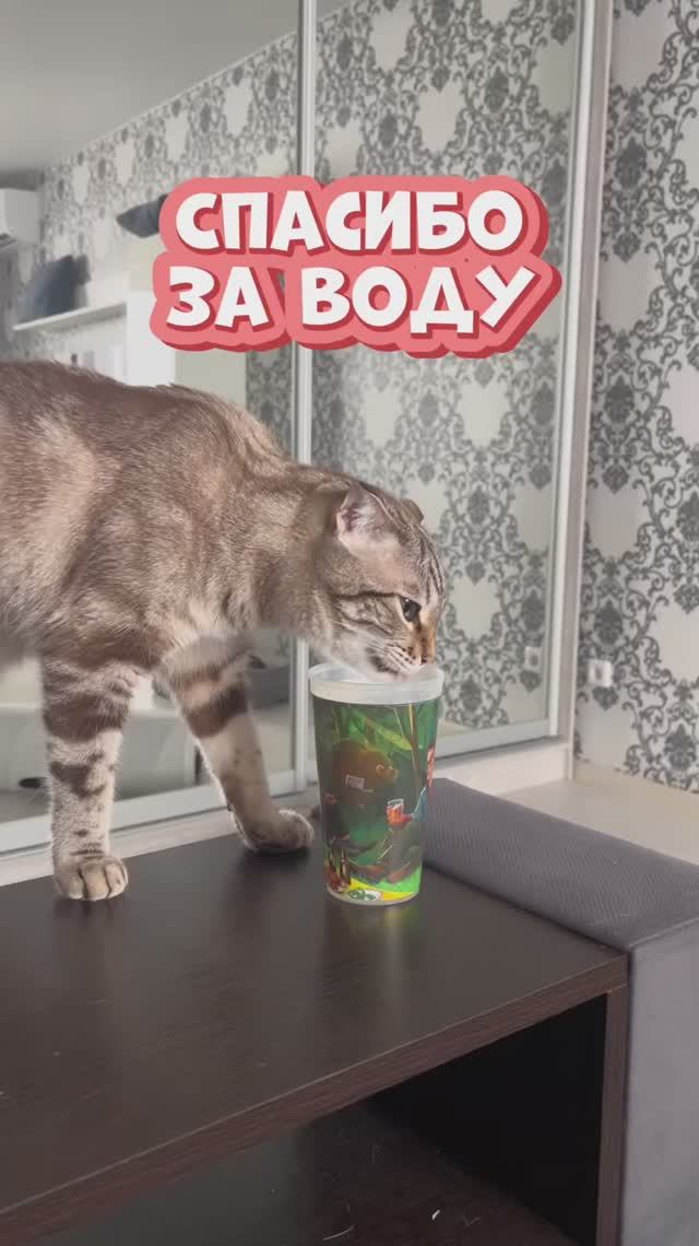 У всех так?😅