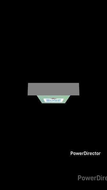 1000282890.mp4