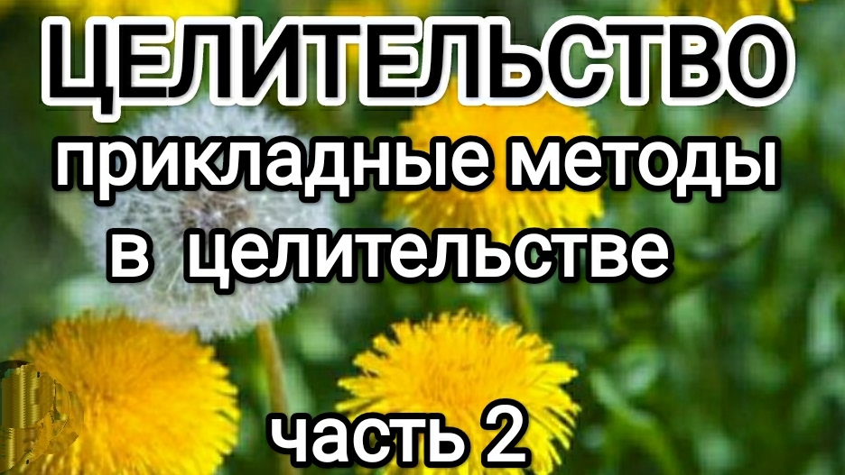Прикладные методы в целительстве! ч. 2 #макарий
