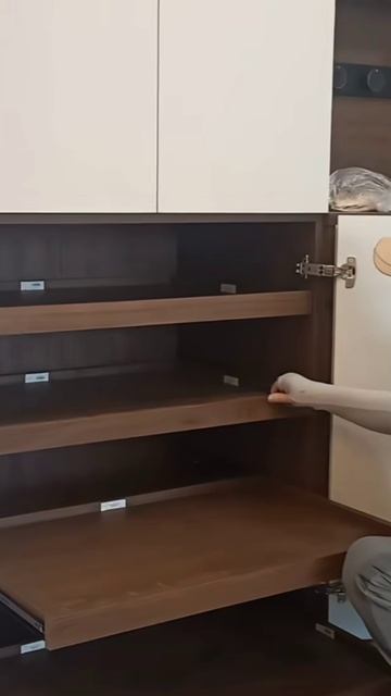 Выдвижные полки.