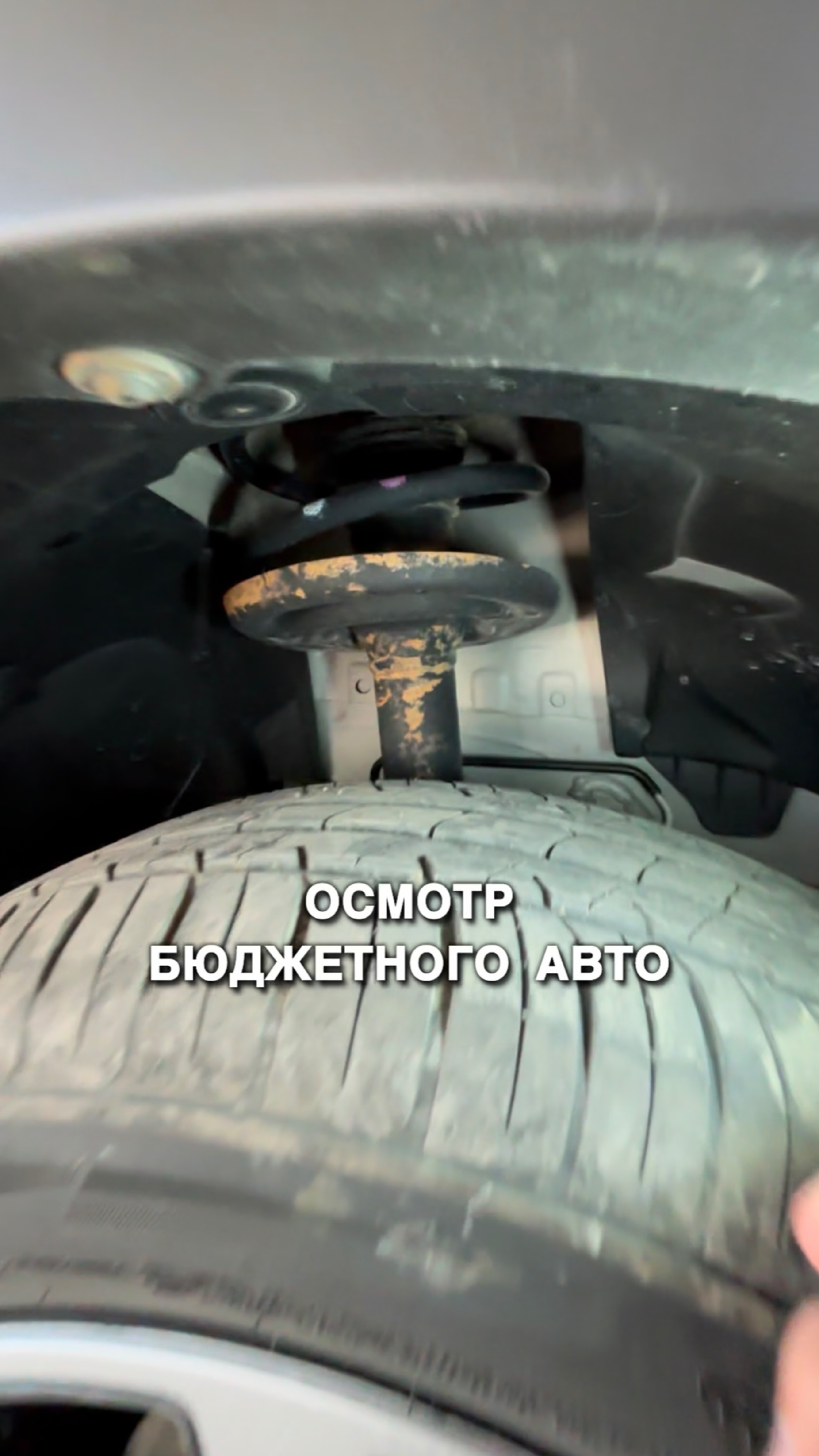 Осмотр бюджетного авто Renault Sandero, купили бы себе такой автомобиль?
