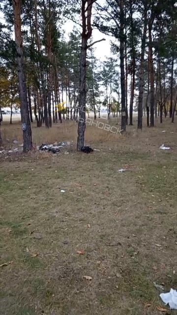 🐷 Вот так в Ульяновской области отдыхают наши жители.
