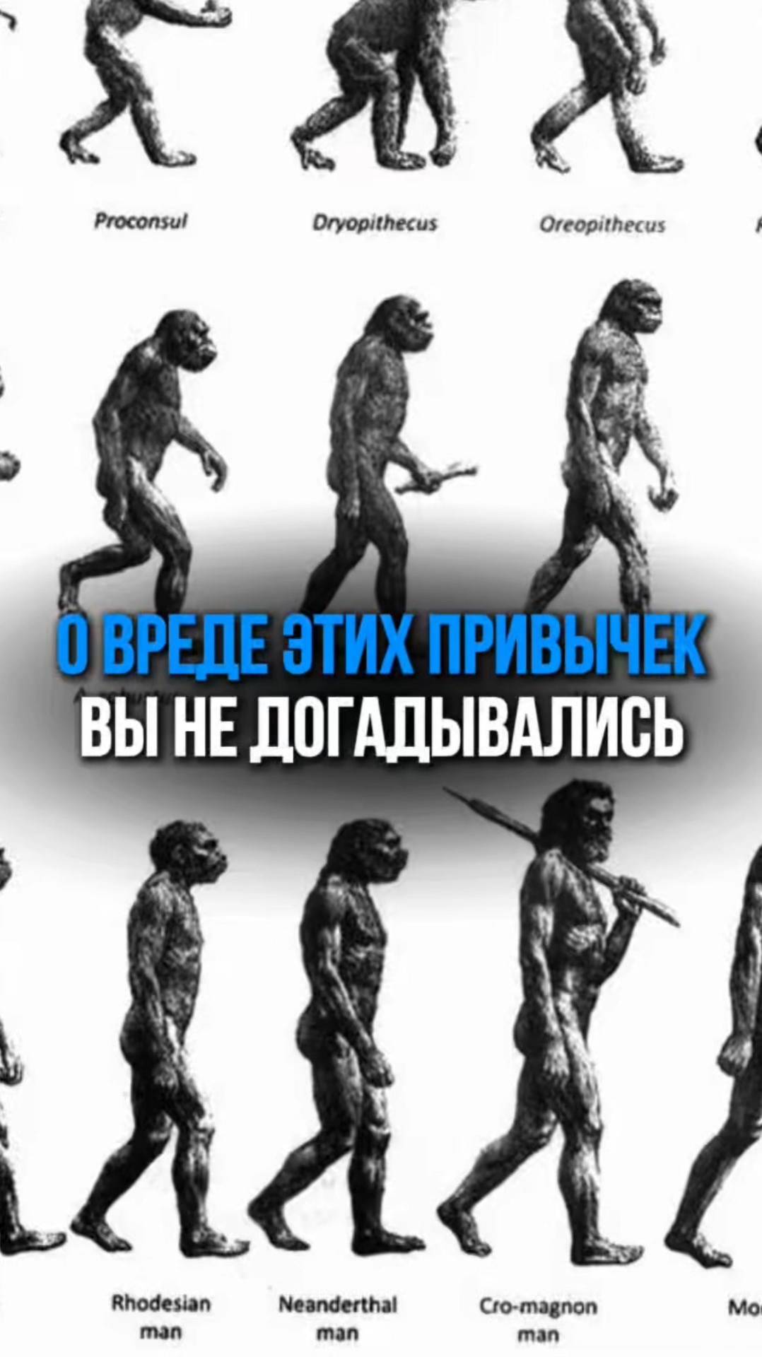 О ВРЕДЕ ЭТИХ ПРИВЫЧЕК ВЫ НЕ ДОГАДЫВАЛИСЬ. Татьяна Бондарева #миката #будущеероссии #дляздоровья