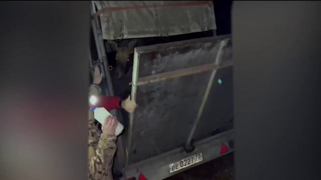 Найденных в Тюменской области лосят отправили в челябинскую “Сохатку”