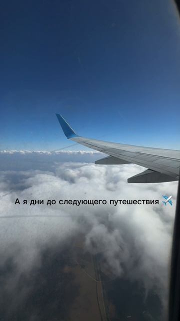 Непоседа 🤪😁
