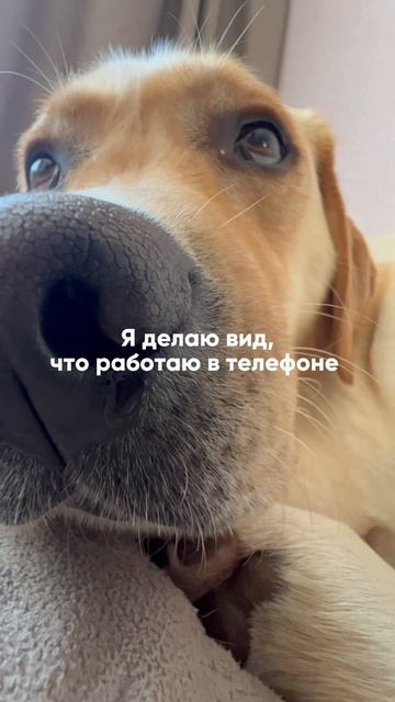 Ну такая милая ☺️