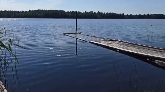 я толстая