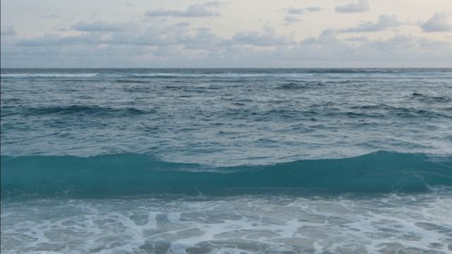 Море зовет нас.