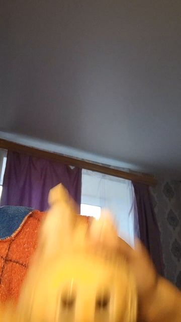 1000015247.mp4