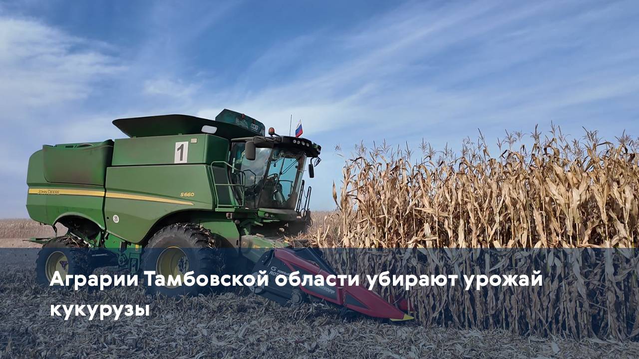 Аграрии Тамбовской области убирают урожай кукурузы