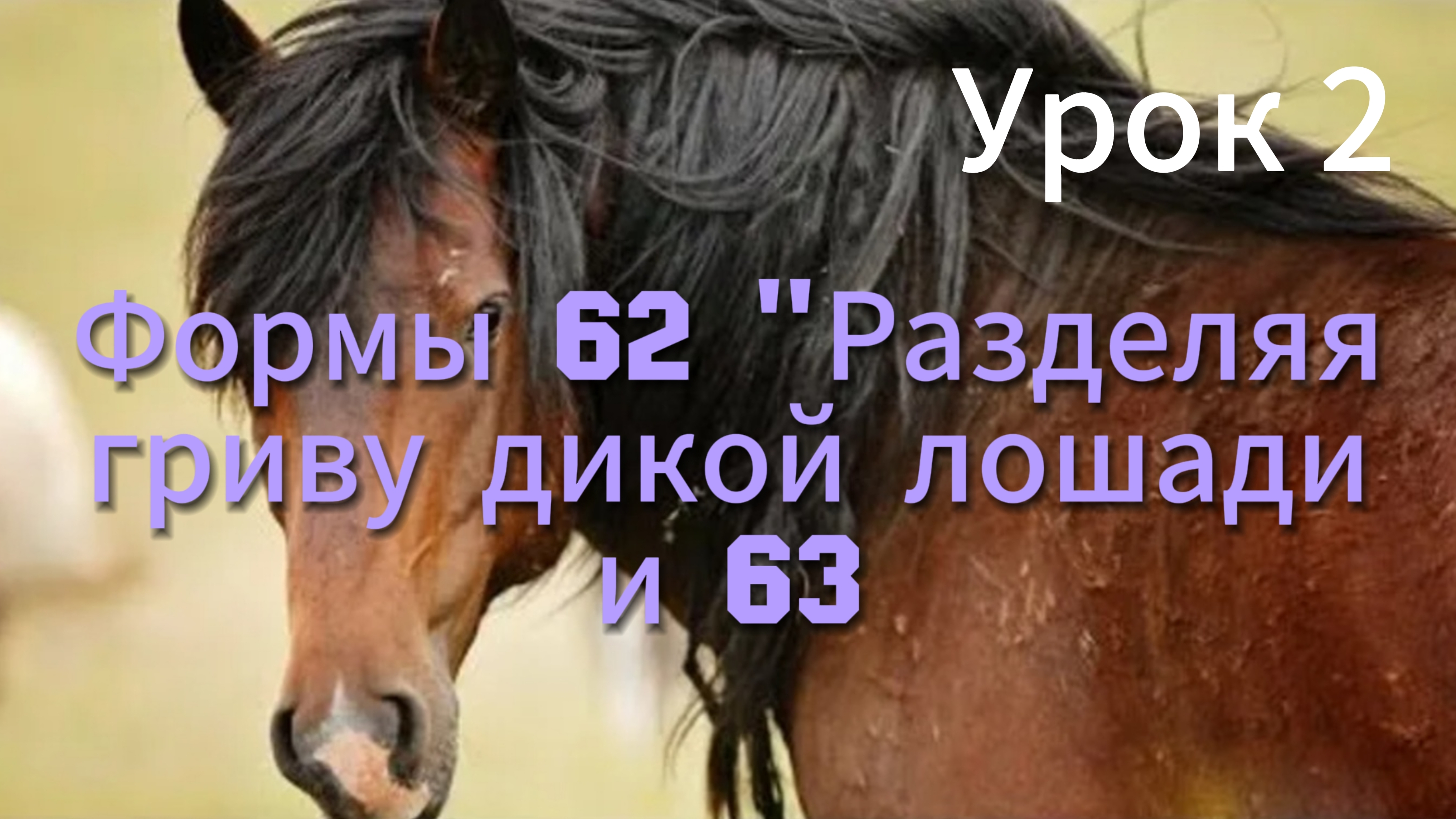 Скручивание корпуса продвигает внутреннюю энергию тела