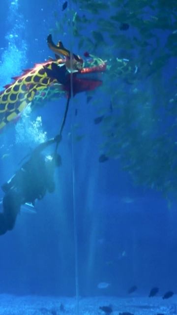 🌊🐟Подводный танец рыбных фонарей
