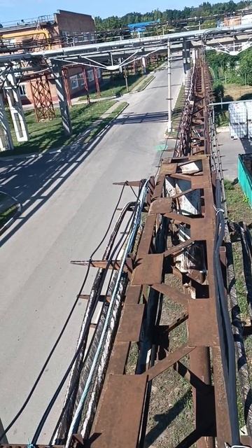 работа мечты