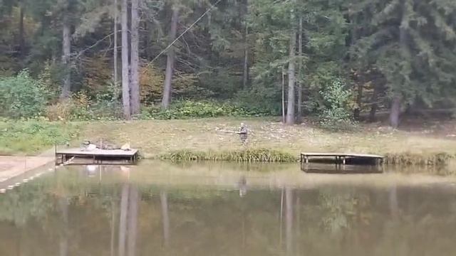 Forest Fishing 09.10.25