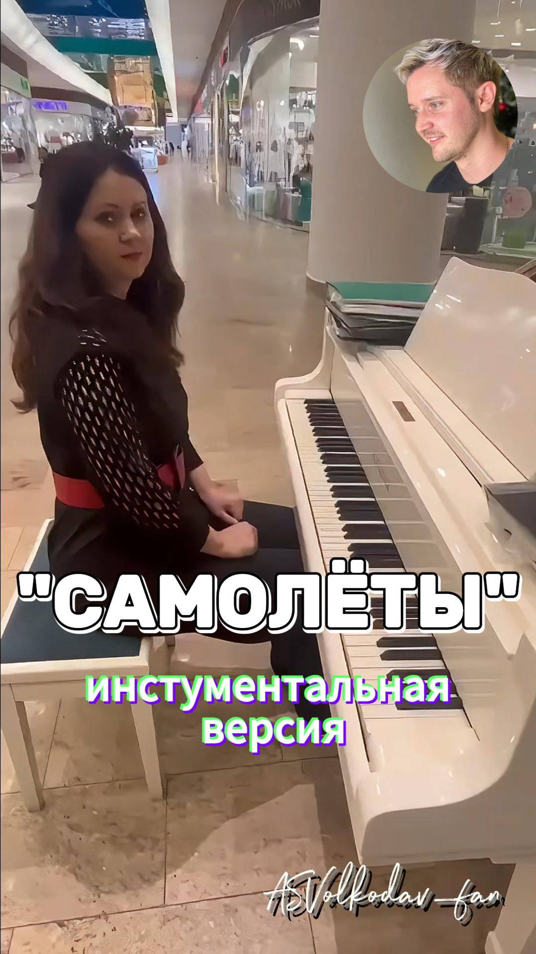 БРАВО Ольга !  Самолеты Александр Волкодав   volkodav самолёты instrumental cover