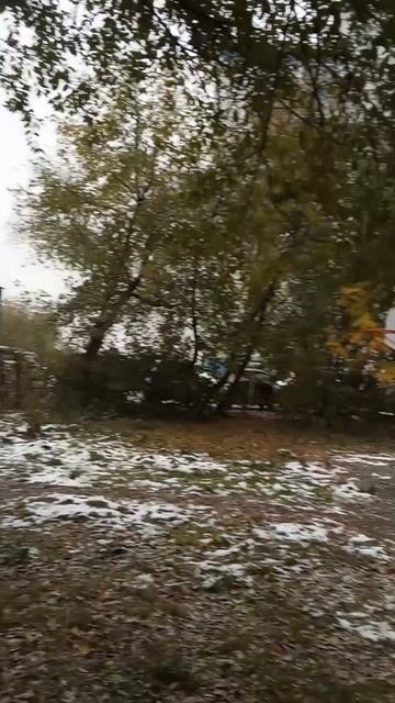 новости новосибирска