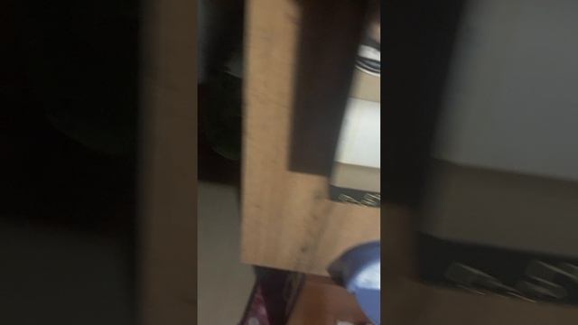 обзор на спорт зал для бм собак