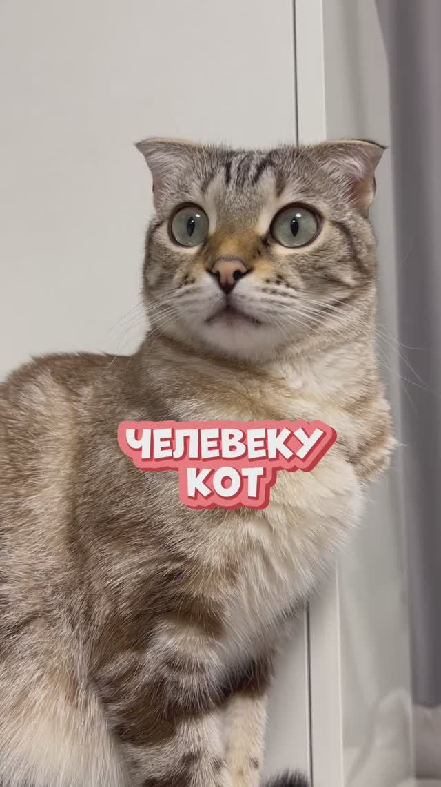 Милота 😻