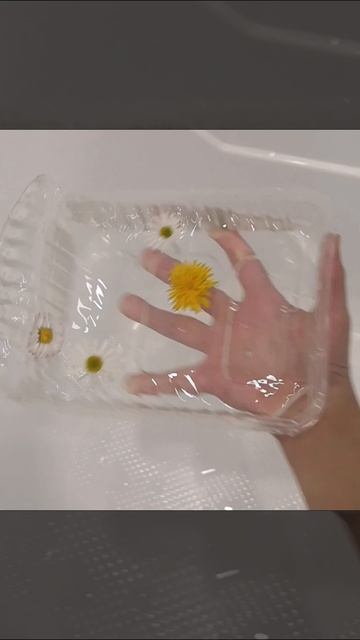 Petal_20251009_175012.mp4