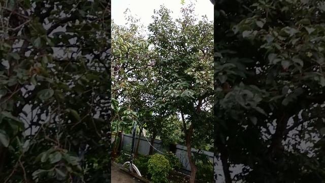 ДОБРЕЙШЕГО ☕😘❗ УТРЕННЯЯ ПЛАНЁРКА ☀️
