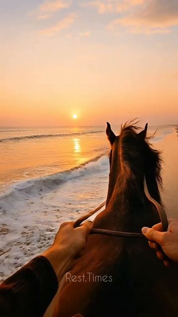 Rest.times_2025-10-09-23-21-39_1760041299371