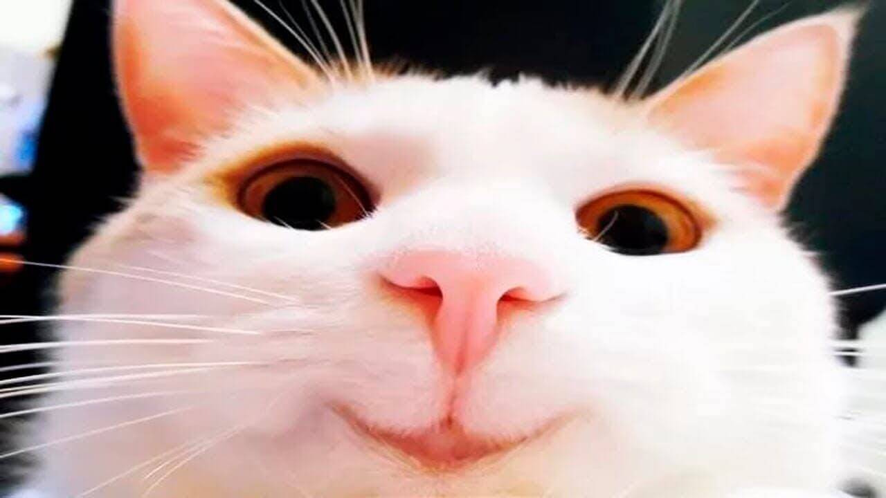 1009 1