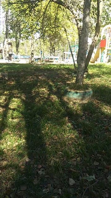 Video_20251009_113003.mp4