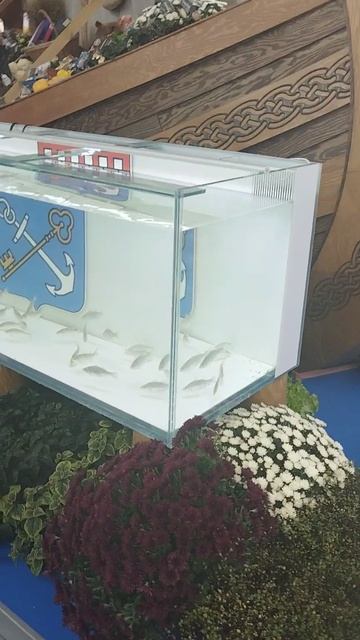 Российская агропромышленная выставка Золотая осень. Зал регионов 8