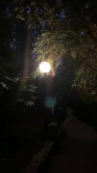 Сочи. Вечерний спуск к морю.