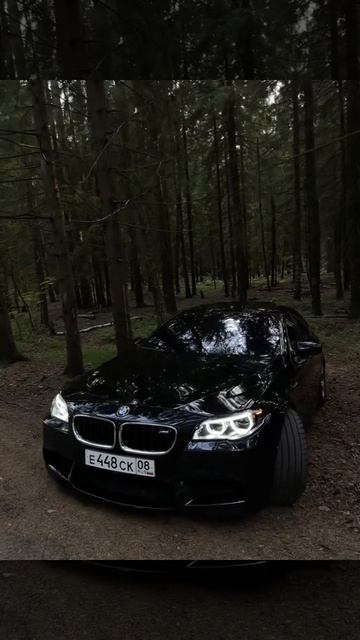 M5 F10