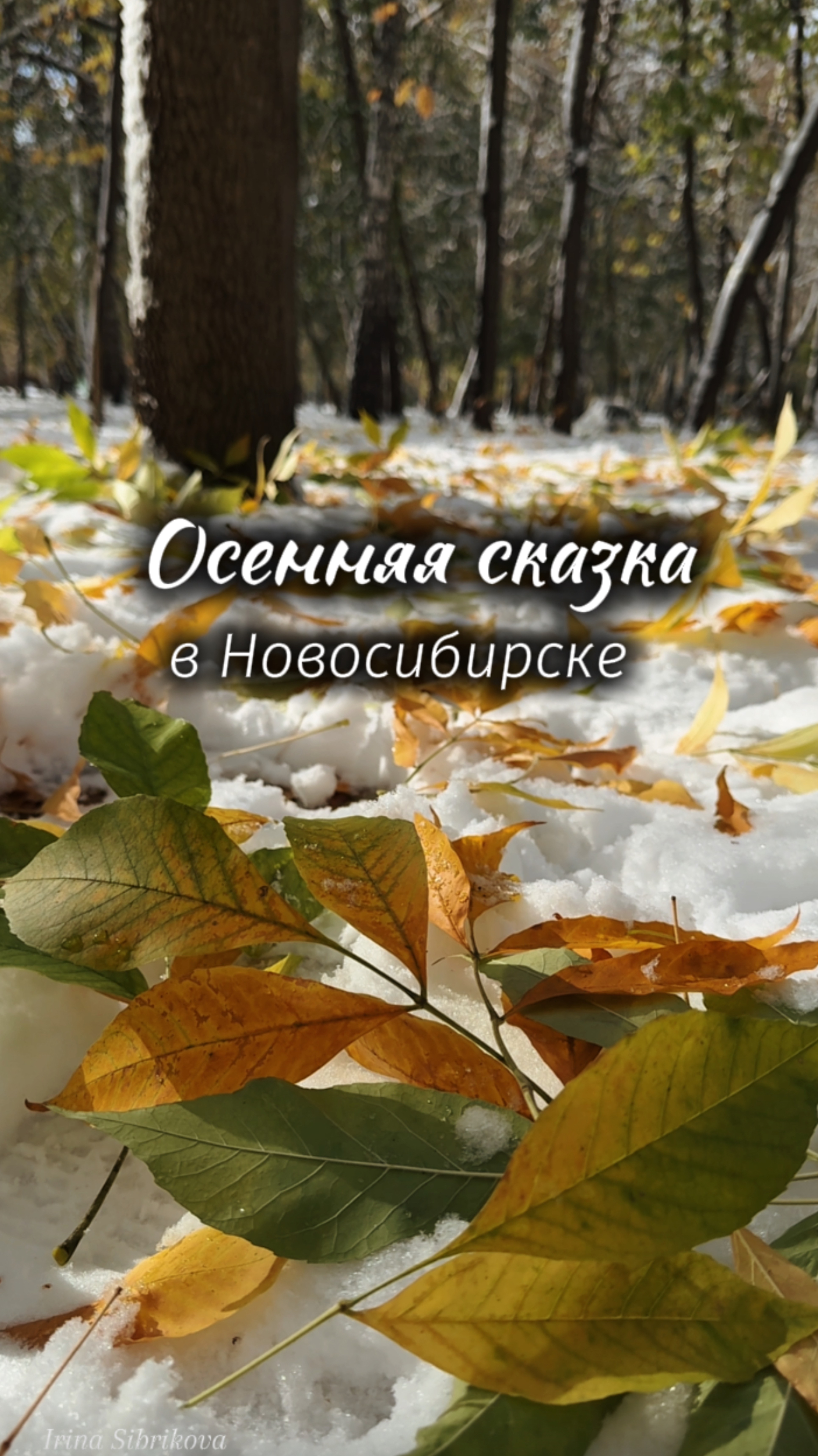 Осенняя СКАЗКА в Новосибирске! ❄️🍁