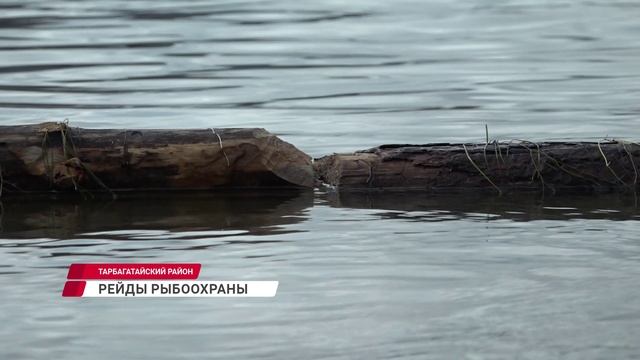 В Улан-Удэ проходят рейды рыбоохраны