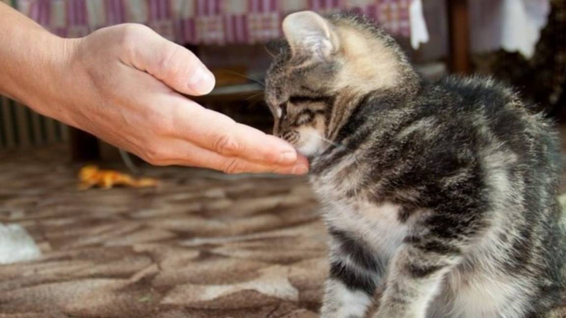 Космос играет с  рукой