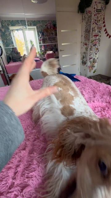 Как вам?💕😆