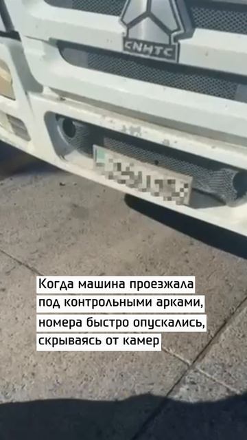 Как выглядят 