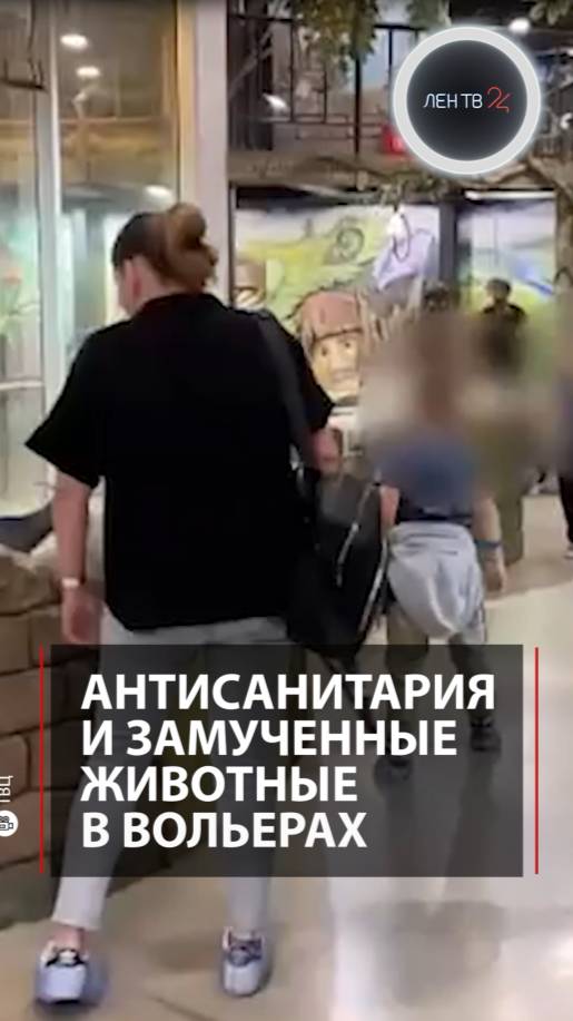 Ужасы в зоопарке