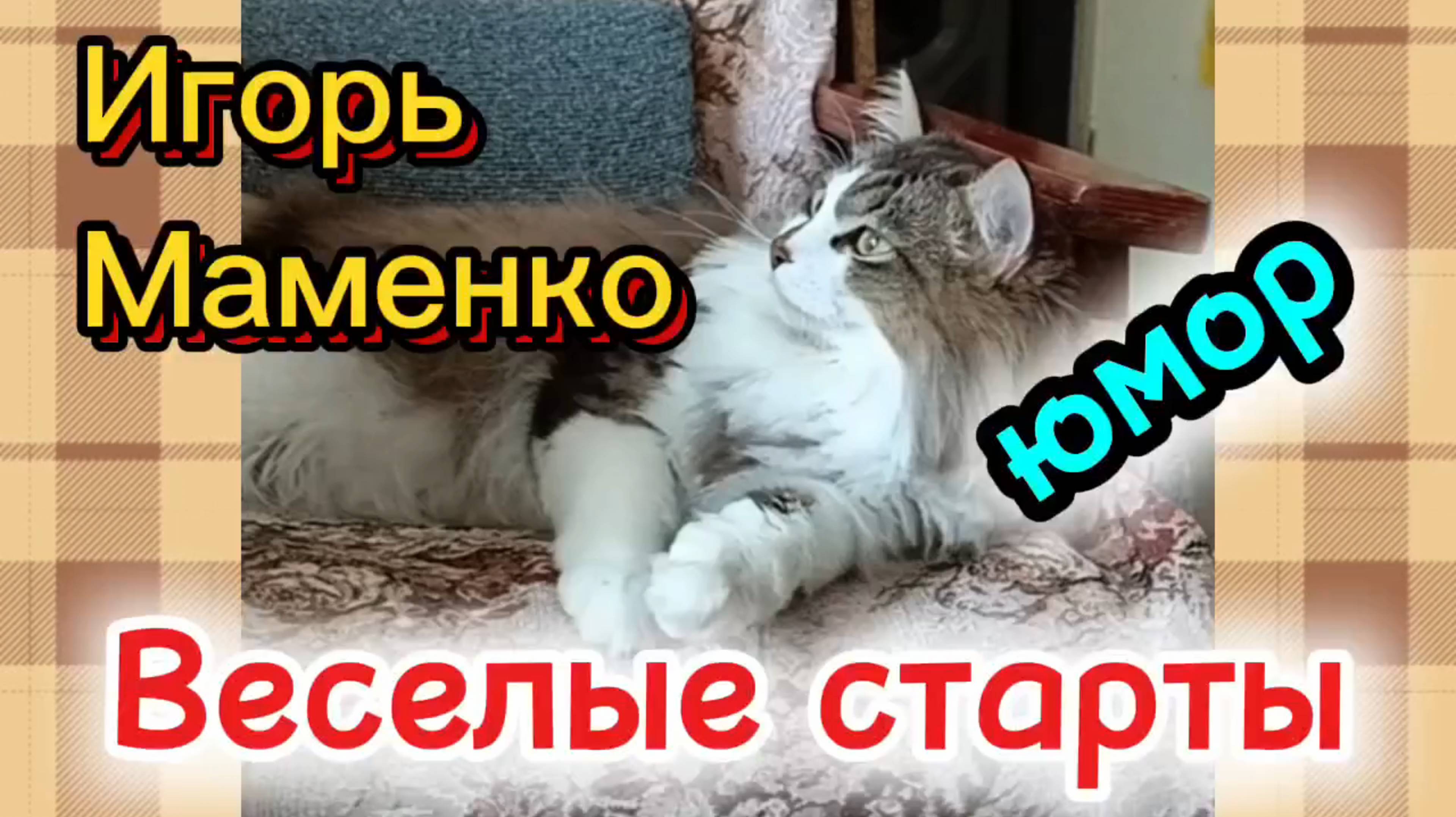 КОШКИ С ОЗВУЧКОЙ. Смешная озвучка.
